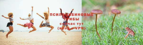 марки nbome Новодвинск