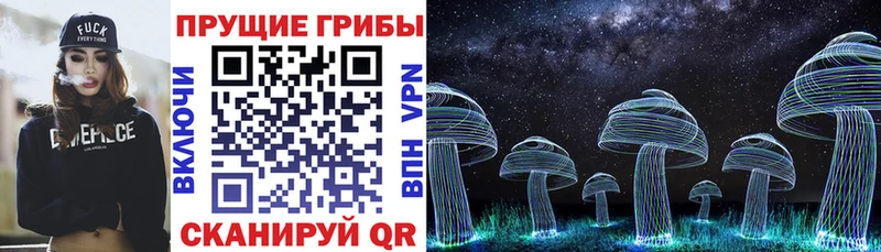 mega как зайти  Исилькуль  Псилоцибиновые грибы Cubensis 